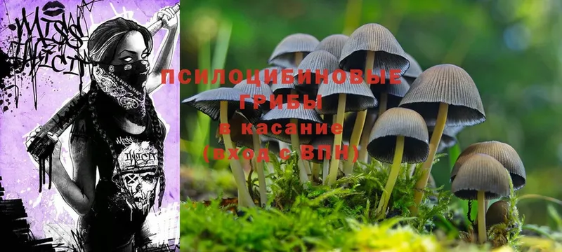 Псилоцибиновые грибы MAGIC MUSHROOMS  Вяземский 